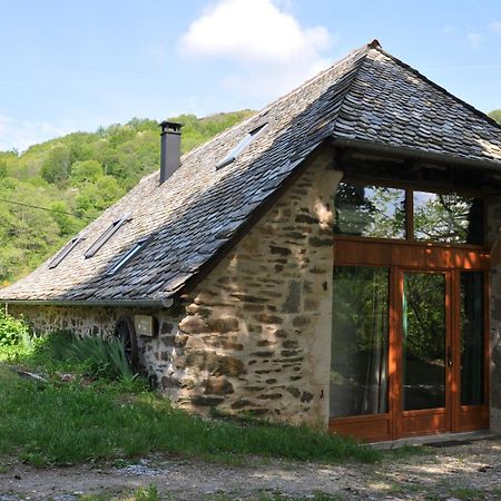 Gite Le Couderc De Coubisou, Grange Renovee Luaran gambar